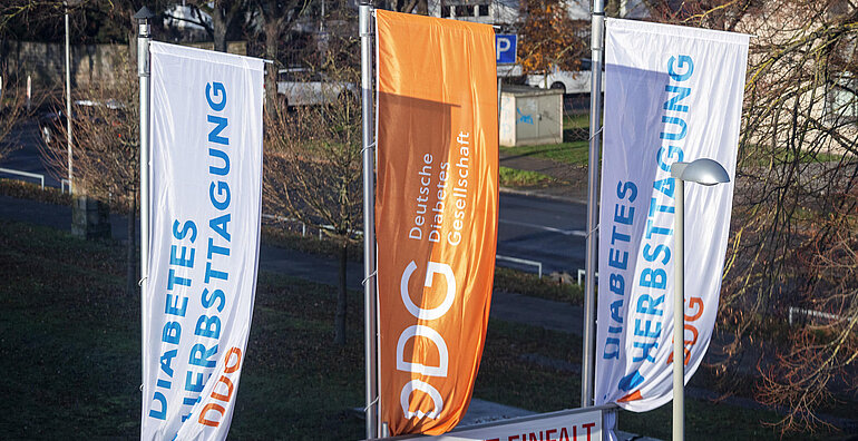 Diabetes Herbsttagung vom 12. - 23. November 2024 in Hannover